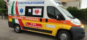 Linee Guida attrezzature autoambulanze veterinarie