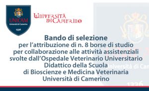 8 Borse di studio presso l’Ospedale Veterinario Didattico – Università di Camerino