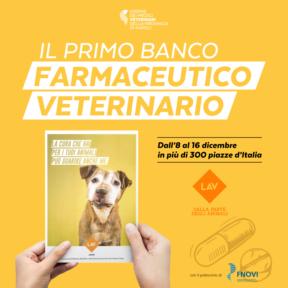 Raccolta nazionale del farmaco veterinario, 8/16 Dicembre