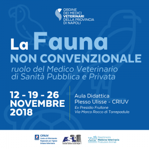 Corso “Fauna non convenzionale” – Iscrizioni fino al 31 Ottobre