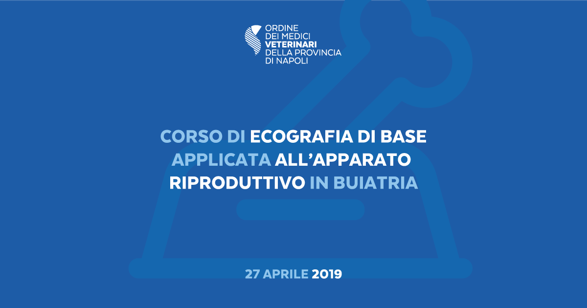 Corso di Ecografia di Base applicata all’apparato riproduttivo in buiatria