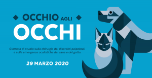 Occhio agli occhi