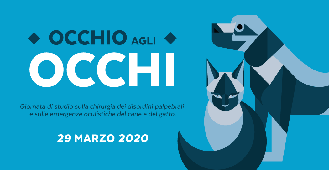 Occhio agli occhi