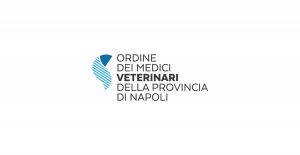 Dichiarazione – DSA comprovante la presenza medico veterinario in Struttura.