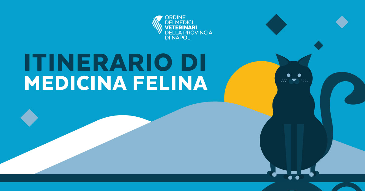 Itinerario di Medicina Felina